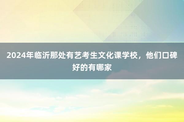 2024年临沂那处有艺考生文化课学校，他们口碑好的有哪家